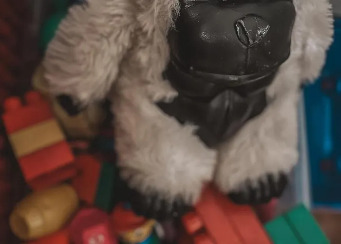 Sofia - Quiet Village&quick Highway Close To Biograd Na Moru&zadar Benkovac